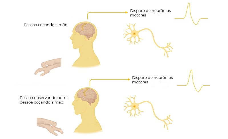 neurociência da empatia humana